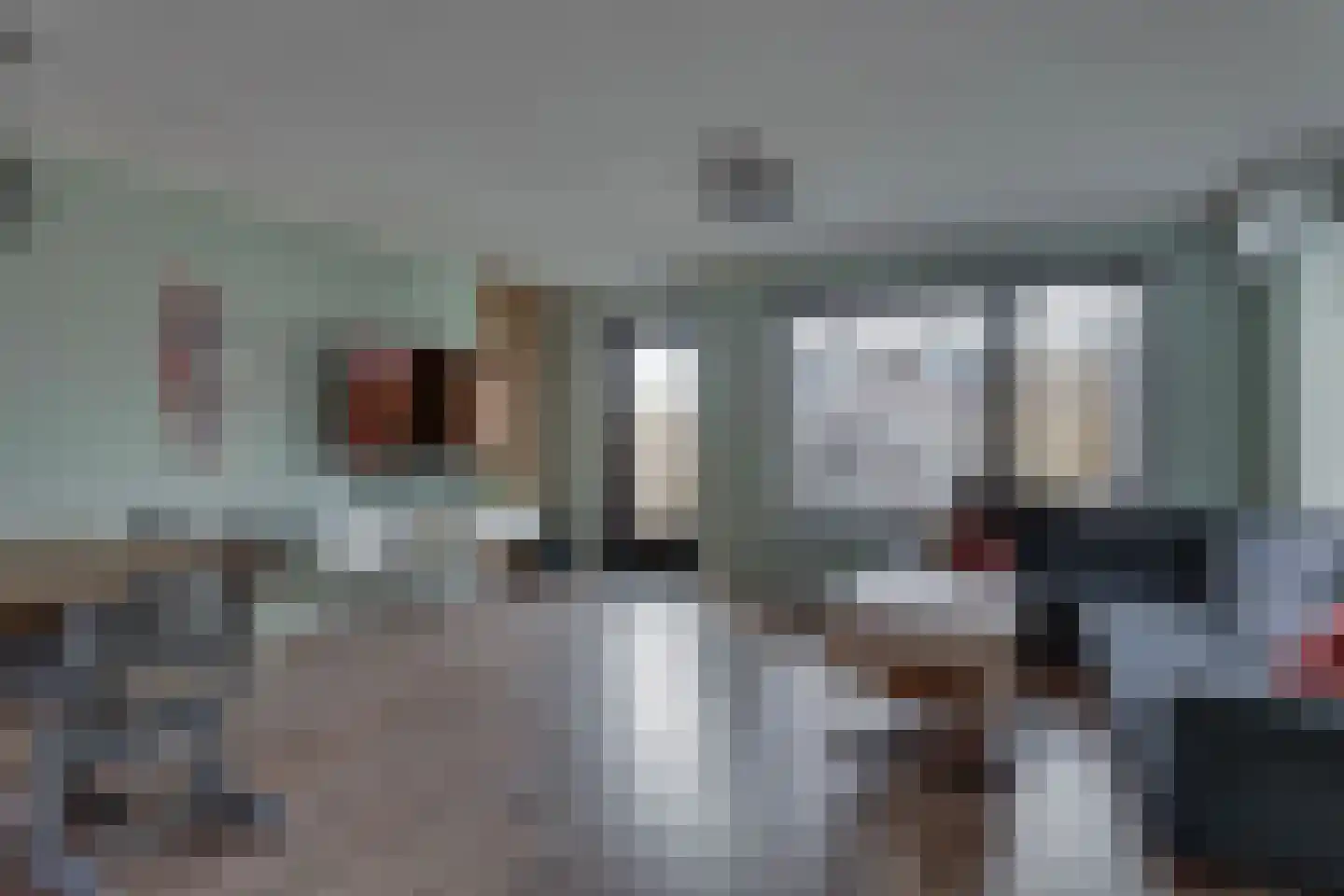 Anemoon 31 Ens thumbnail 20