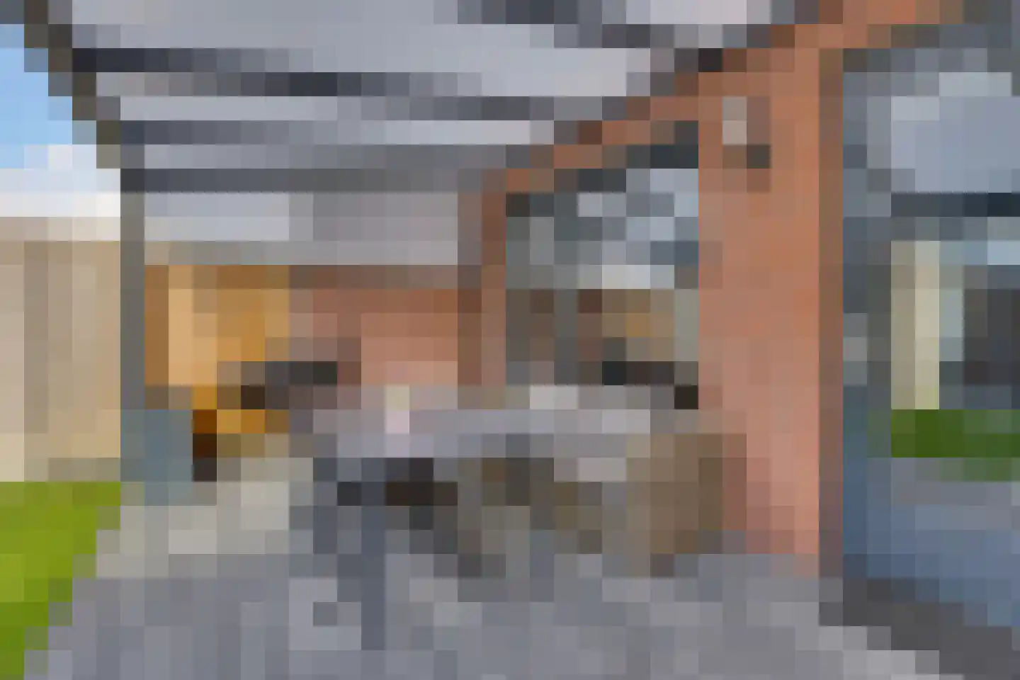 Anemoon 31 Ens thumbnail 21