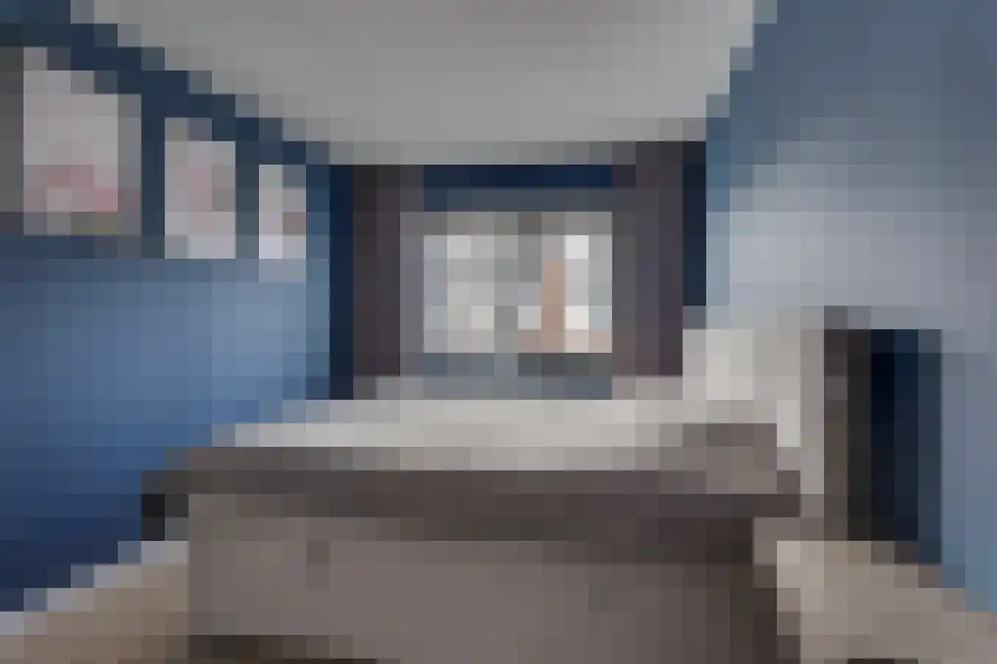 Anemoon 31 Ens thumbnail 28