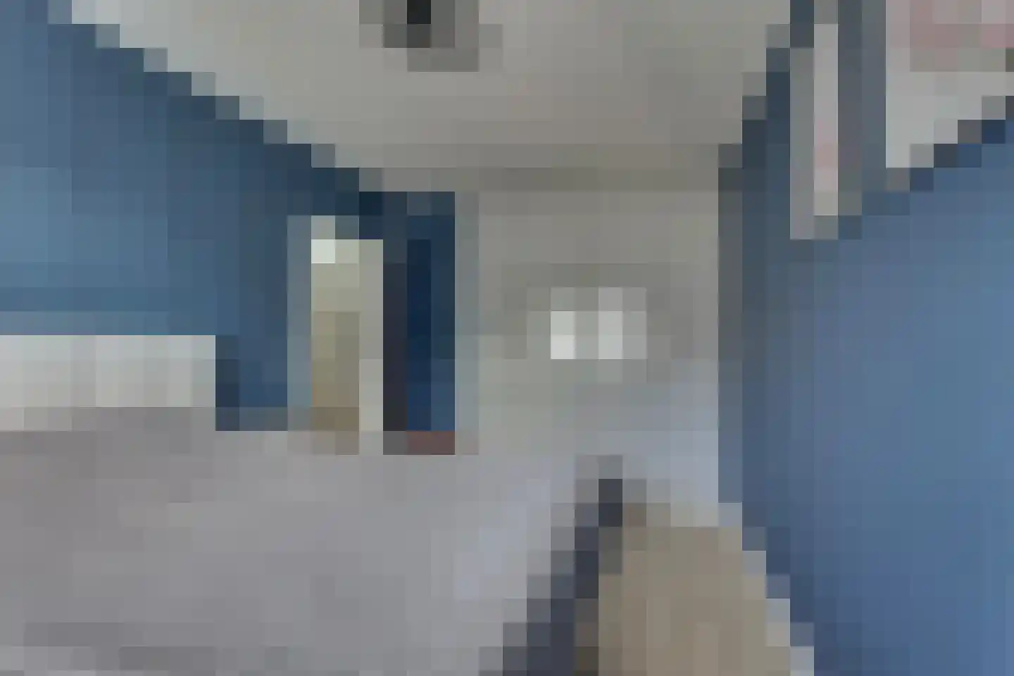 Anemoon 31 Ens thumbnail 29