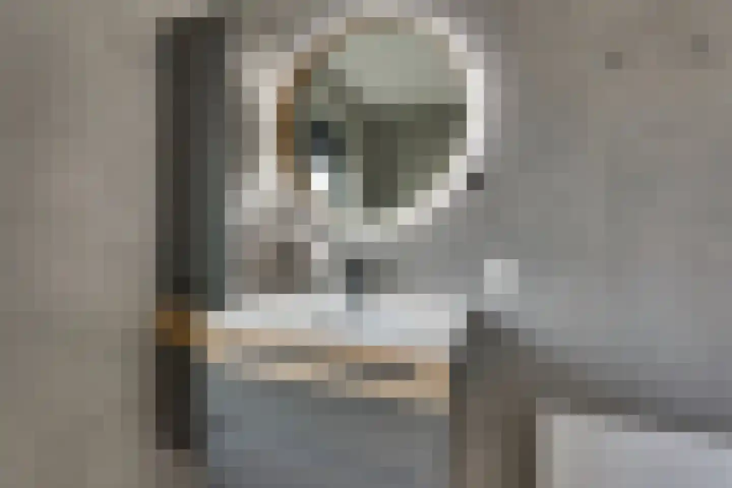 Anemoon 31 Ens thumbnail 32