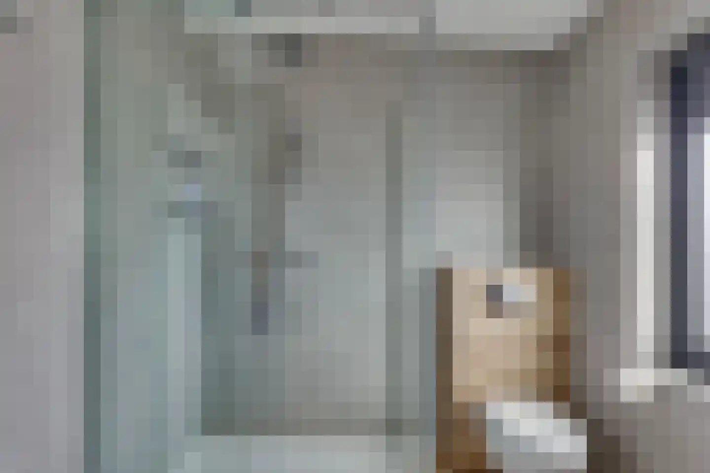 Anemoon 31 Ens thumbnail 33