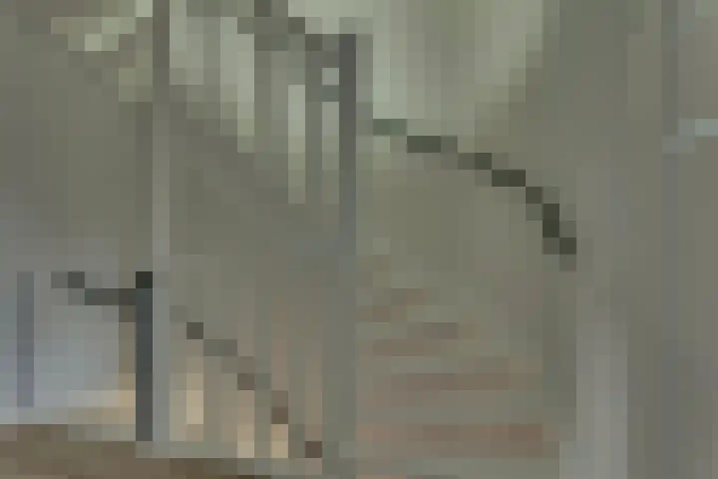 Anemoon 31 Ens thumbnail 34