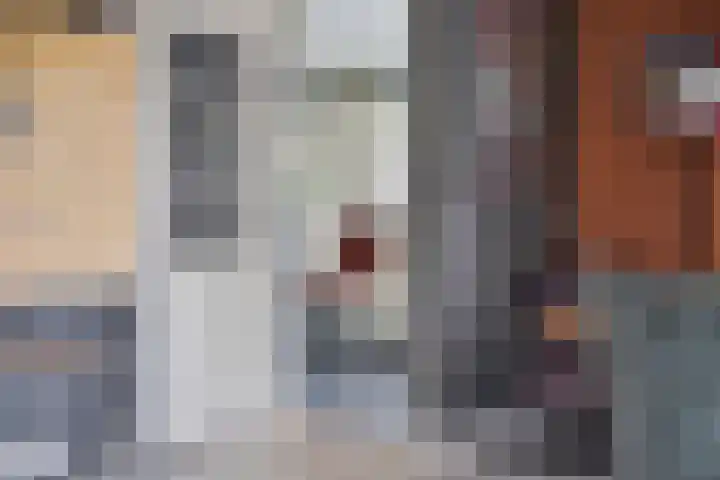 Anemoon 39 Haaksbergen thumbnail 18