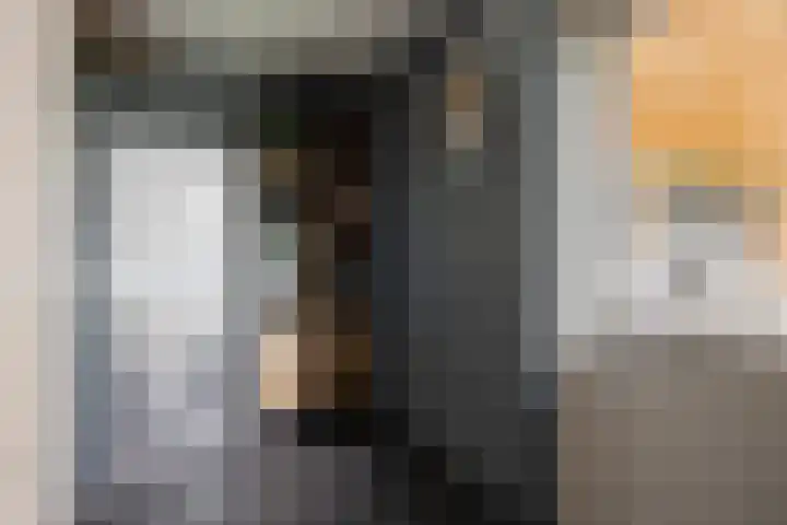 Anemoon 39 Haaksbergen thumbnail 22