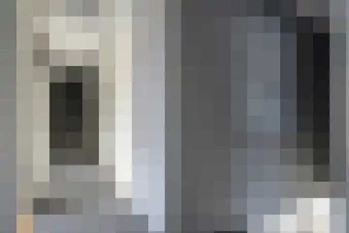 Anemoon 39 Haaksbergen thumbnail 23