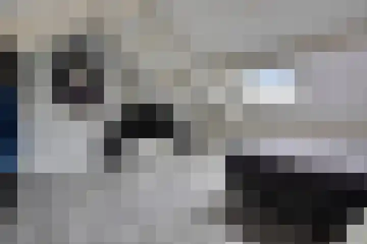 Anemoon 39 Haaksbergen thumbnail 24