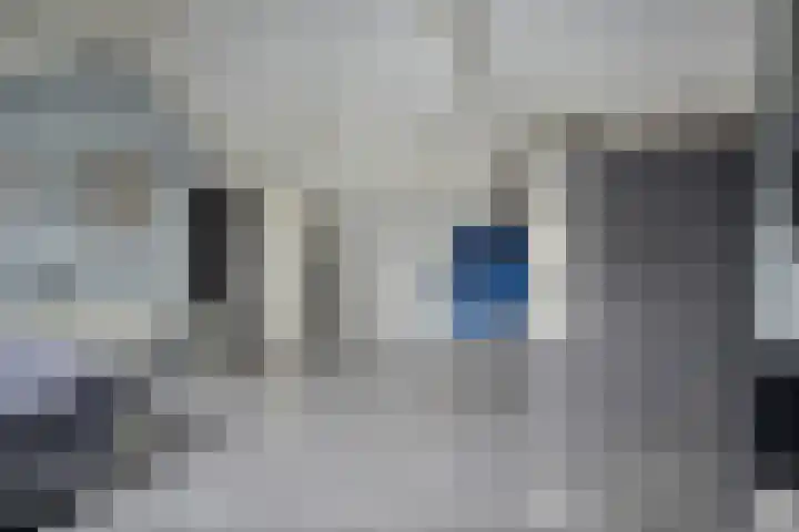 Anemoon 39 Haaksbergen thumbnail 25