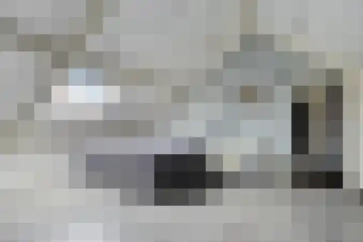 Anemoon 39 Haaksbergen thumbnail 26