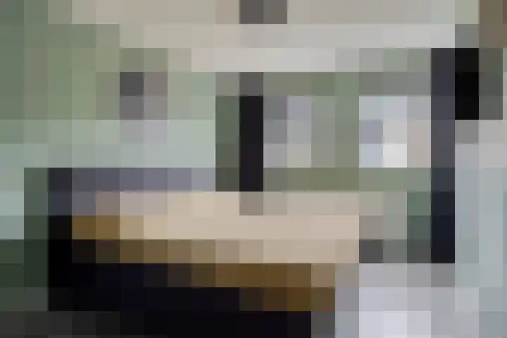 Anemoon 39 Haaksbergen thumbnail 29