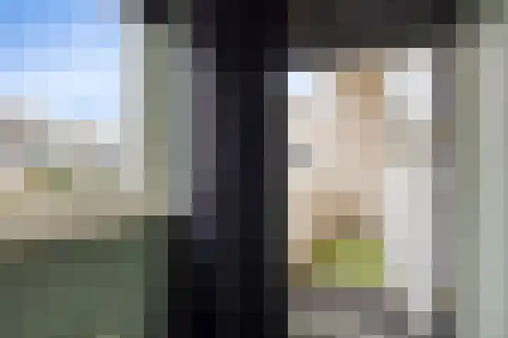 Anemoon 39 Haaksbergen thumbnail 30