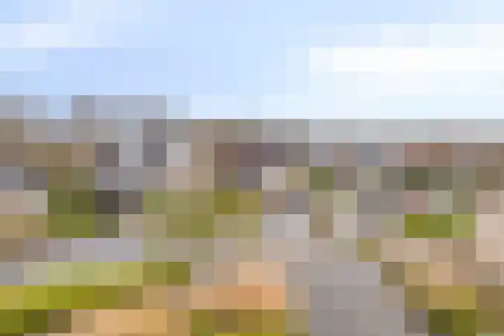 Anemoon 39 Haaksbergen thumbnail 31