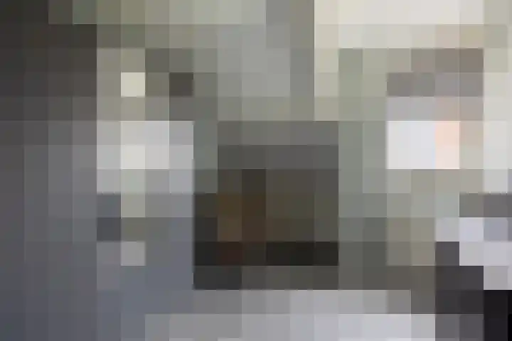 Anemoon 39 Haaksbergen thumbnail 33