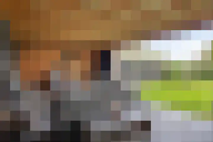 Anemoon 39 Haaksbergen thumbnail 35