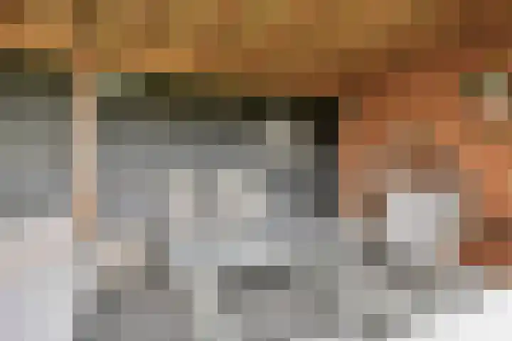 Anemoon 39 Haaksbergen thumbnail 36