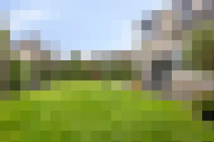 Anemoon 39 Haaksbergen thumbnail 37