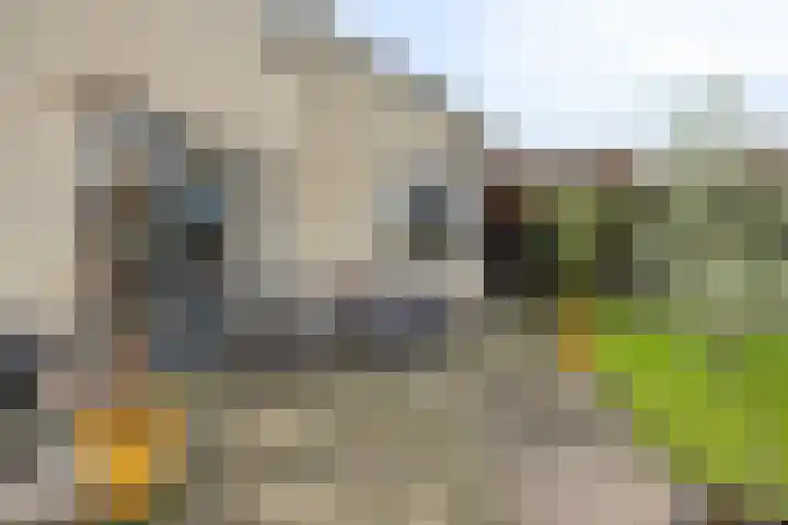 Anemoon 39 Haaksbergen thumbnail 38