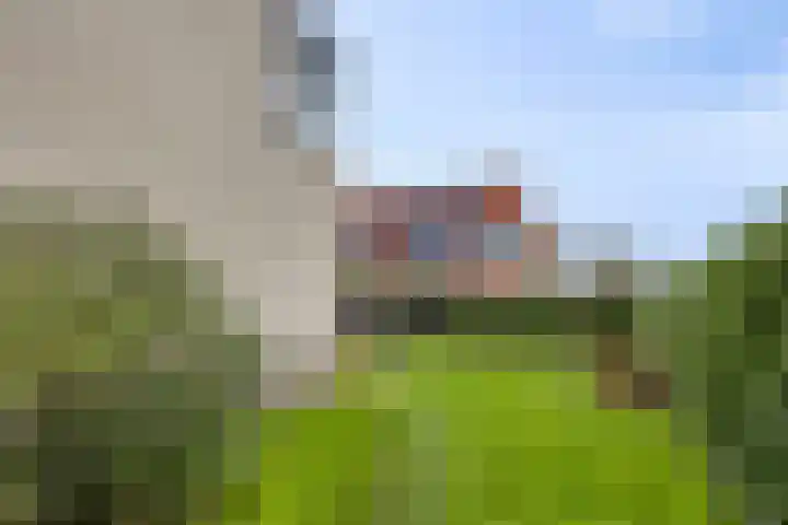 Anemoon 39 Haaksbergen thumbnail 39