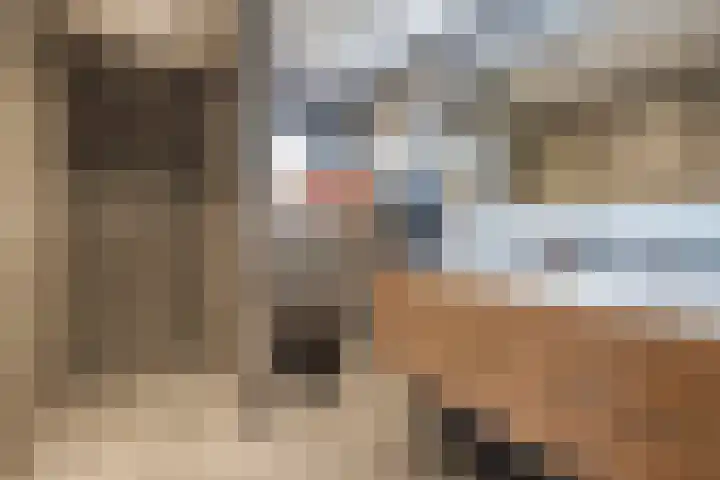 Anemoon 39 Haaksbergen thumbnail 4