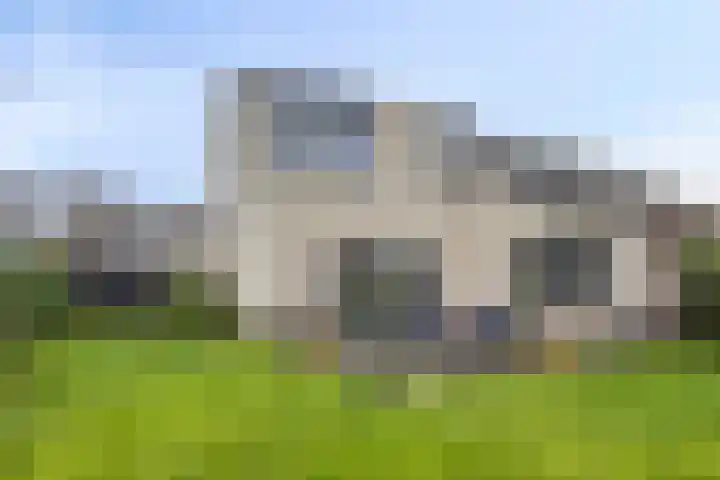 Anemoon 39 Haaksbergen thumbnail 40