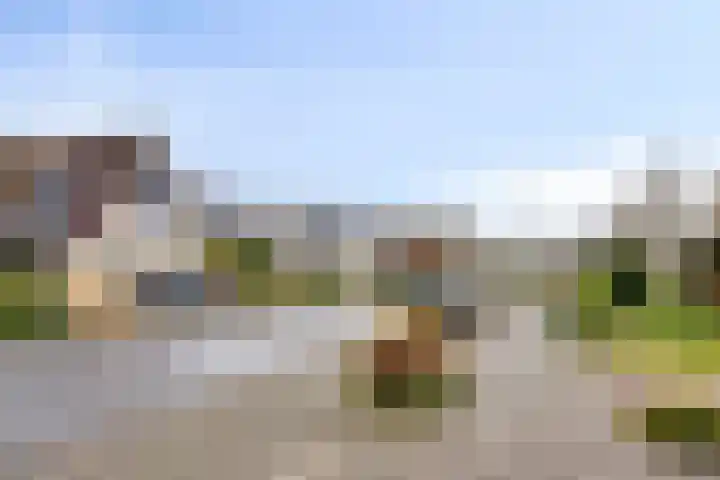 Anemoon 39 Haaksbergen thumbnail 41