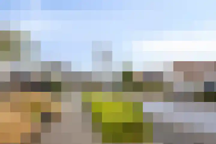 Anemoon 39 Haaksbergen thumbnail 42