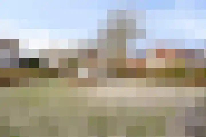 Anemoon 39 Haaksbergen thumbnail 43