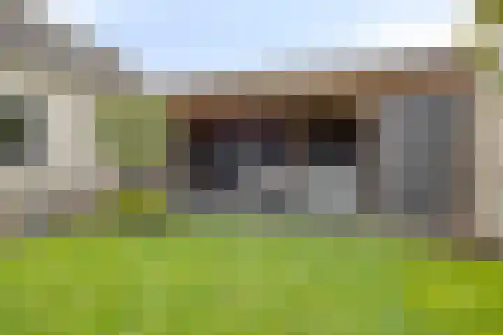 Anemoon 39 Haaksbergen thumbnail 5