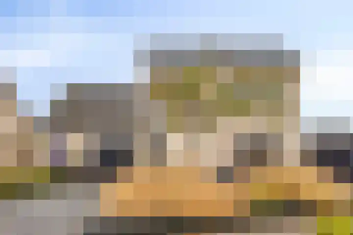 Anemoon 39 Haaksbergen thumbnail 6