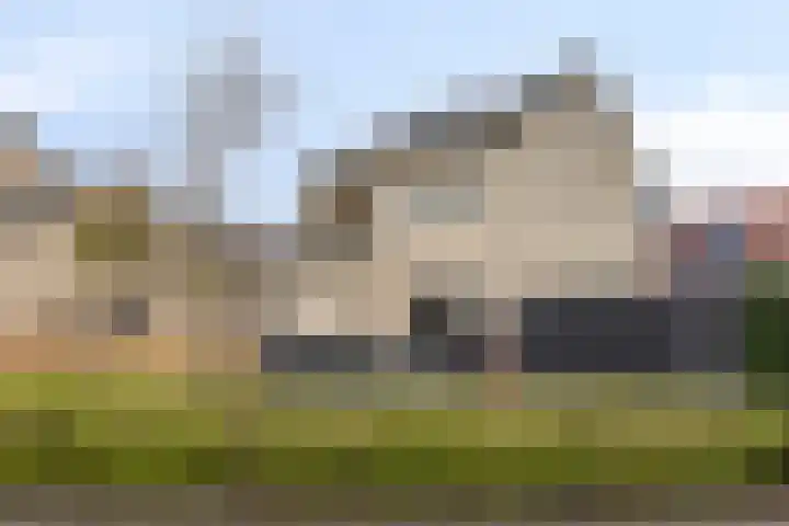 Anemoon 39 Haaksbergen thumbnail 7