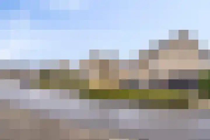 Anemoon 39 Haaksbergen thumbnail 8