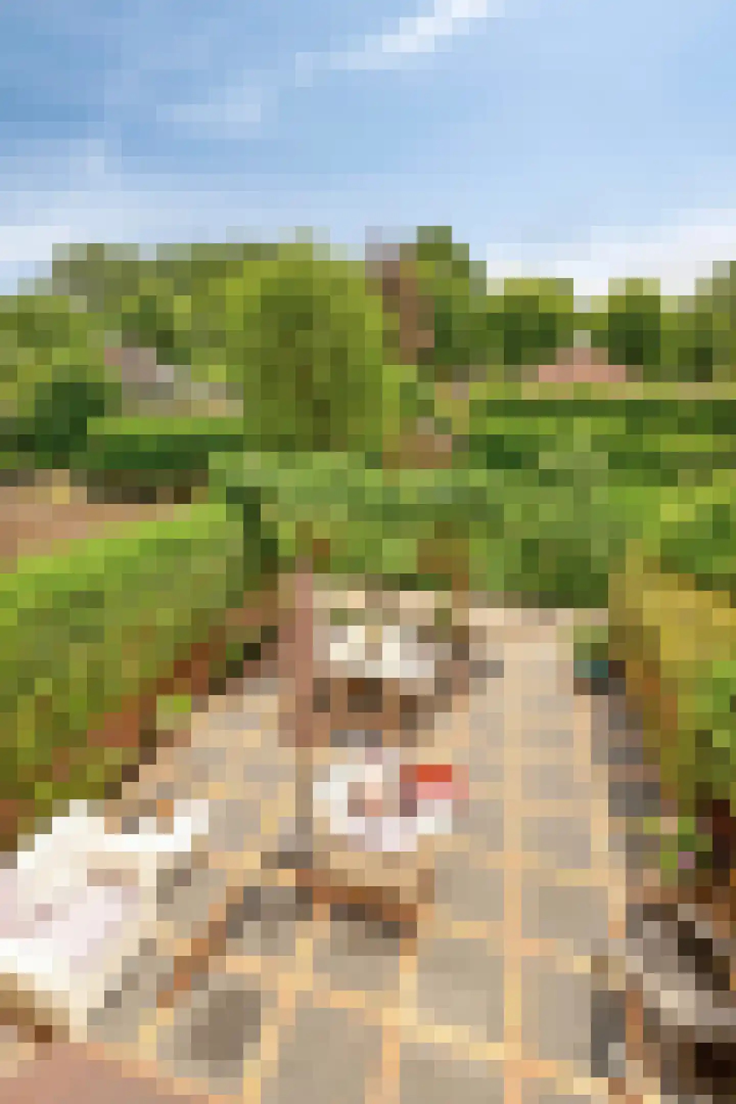 Anemoon 42 Krimpen aan den IJssel thumbnail 28