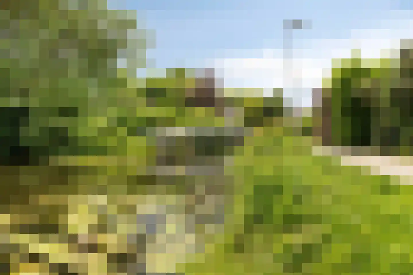 Anemoon 42 Krimpen aan den IJssel thumbnail 32