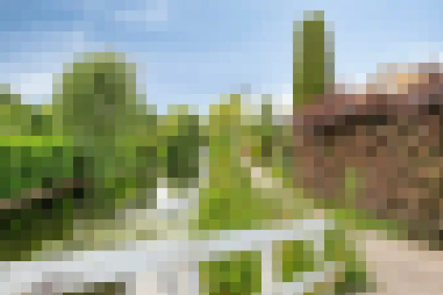 Anemoon 42 Krimpen aan den IJssel thumbnail 34