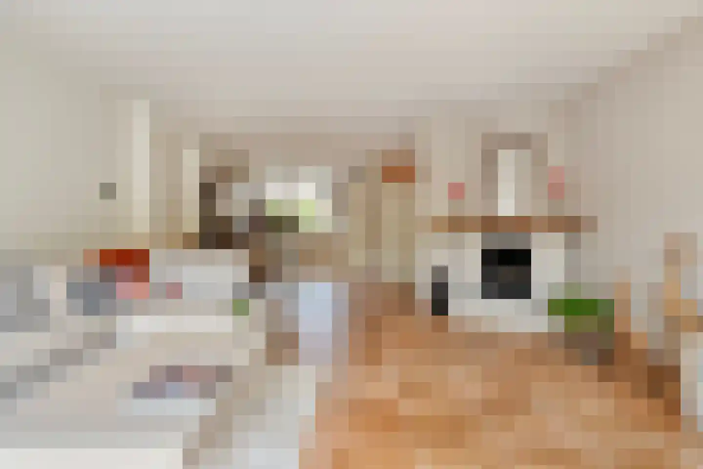 Anemoon 42 Krimpen aan den IJssel thumbnail 5