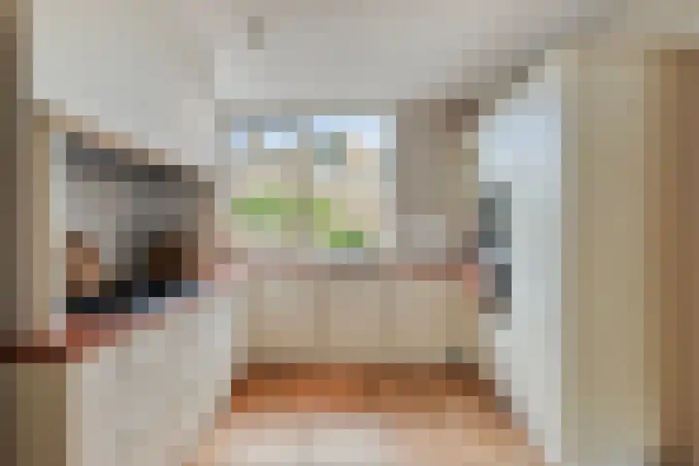 Anemoon 42 Krimpen aan den IJssel thumbnail 9
