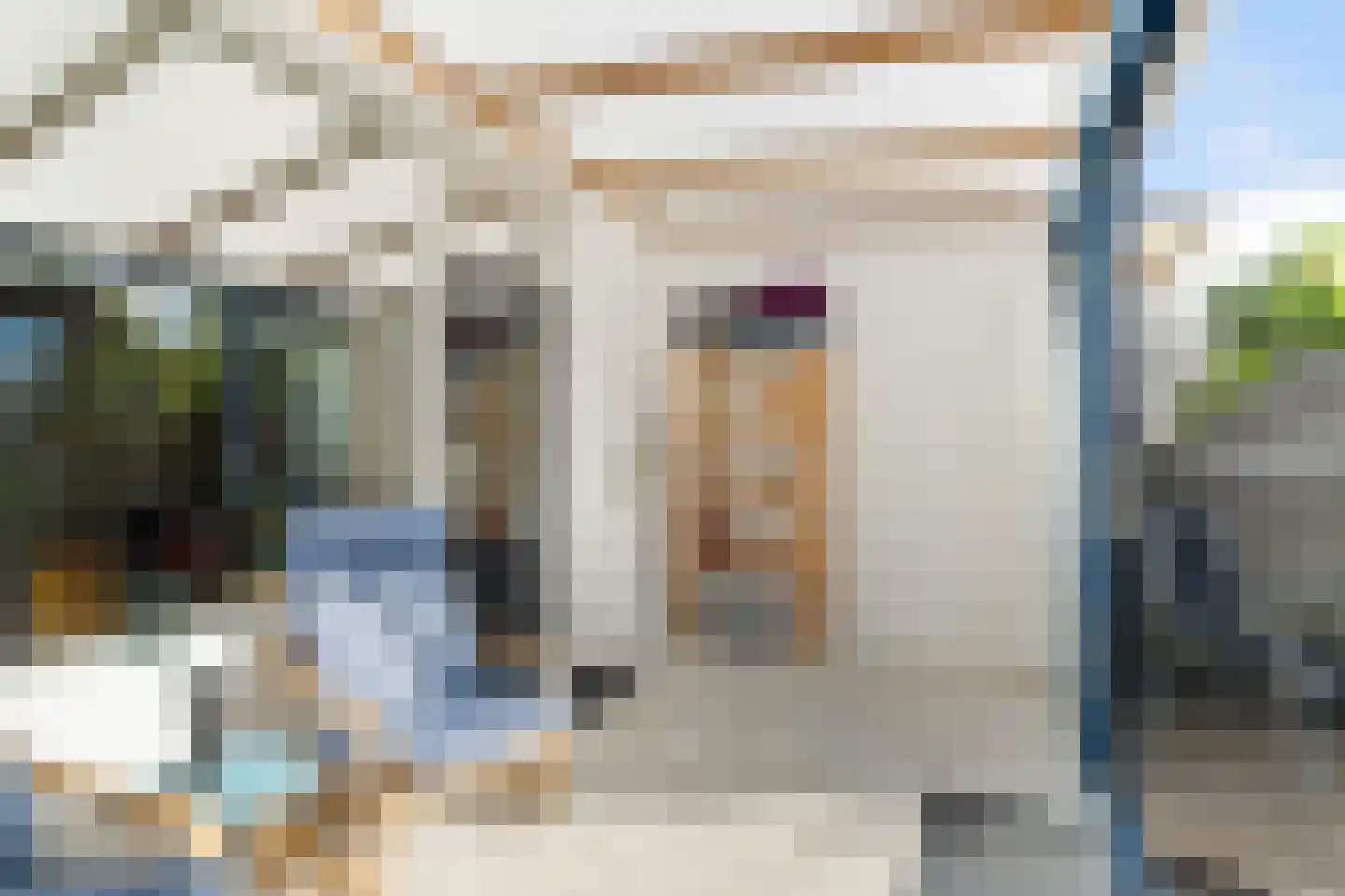 Anemoon 5 Naaldwijk thumbnail 12