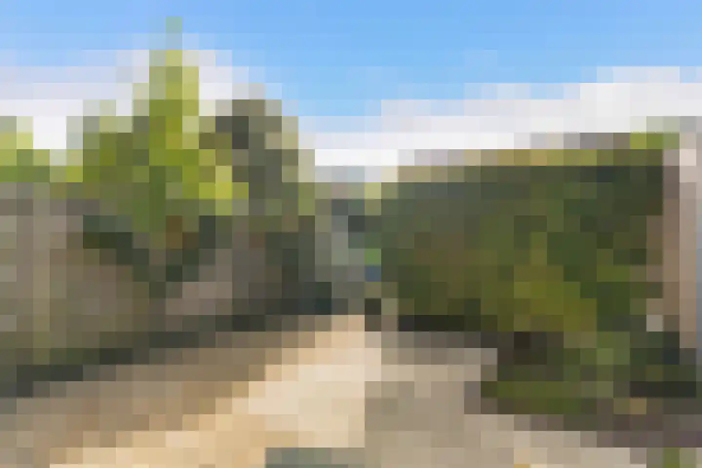 Anemoon 5 Naaldwijk thumbnail 14