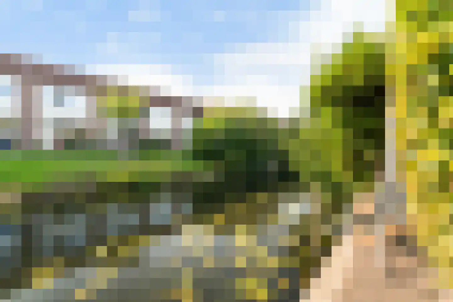 Anemoon 5 Naaldwijk thumbnail 16