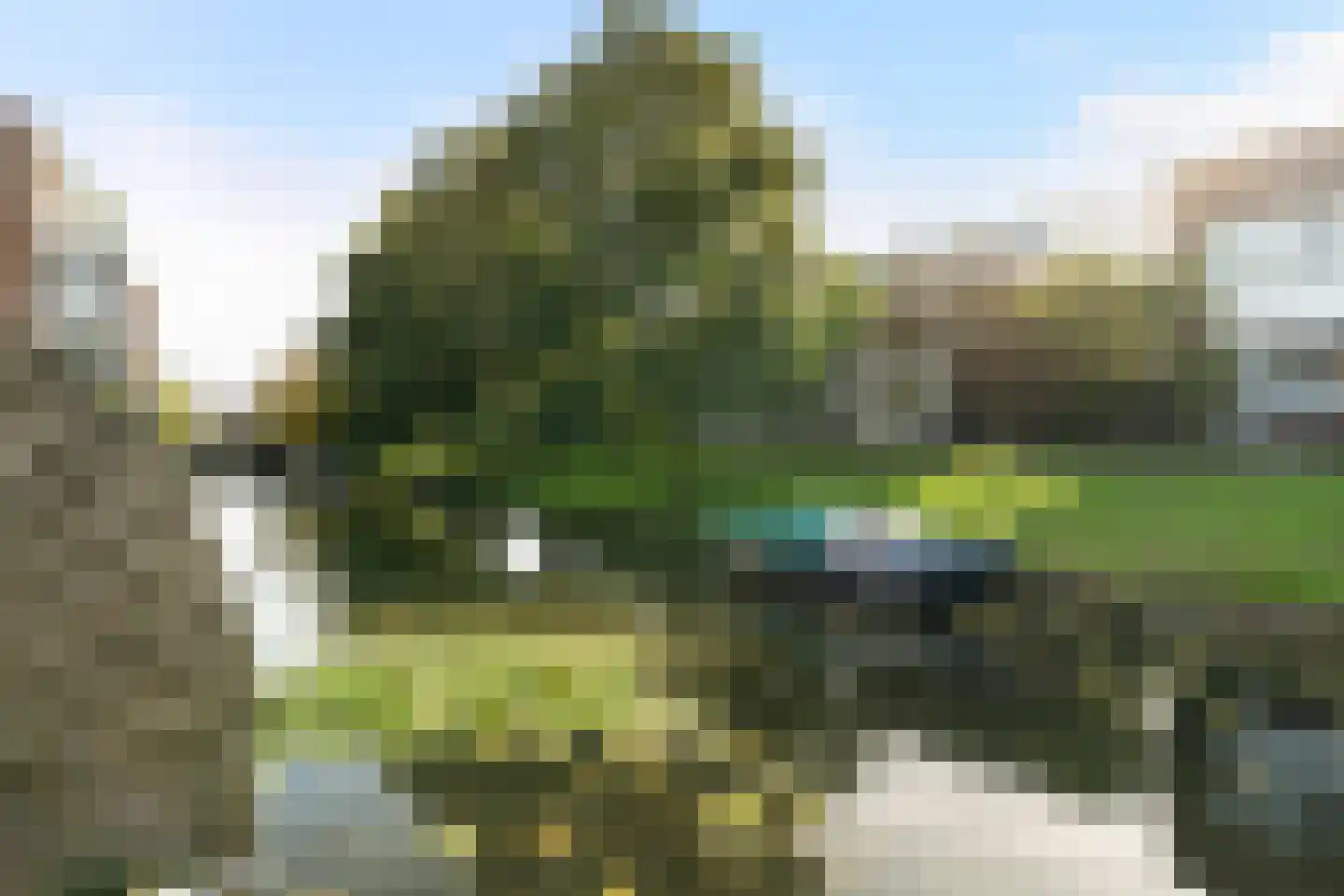Anemoon 5 Naaldwijk thumbnail 17