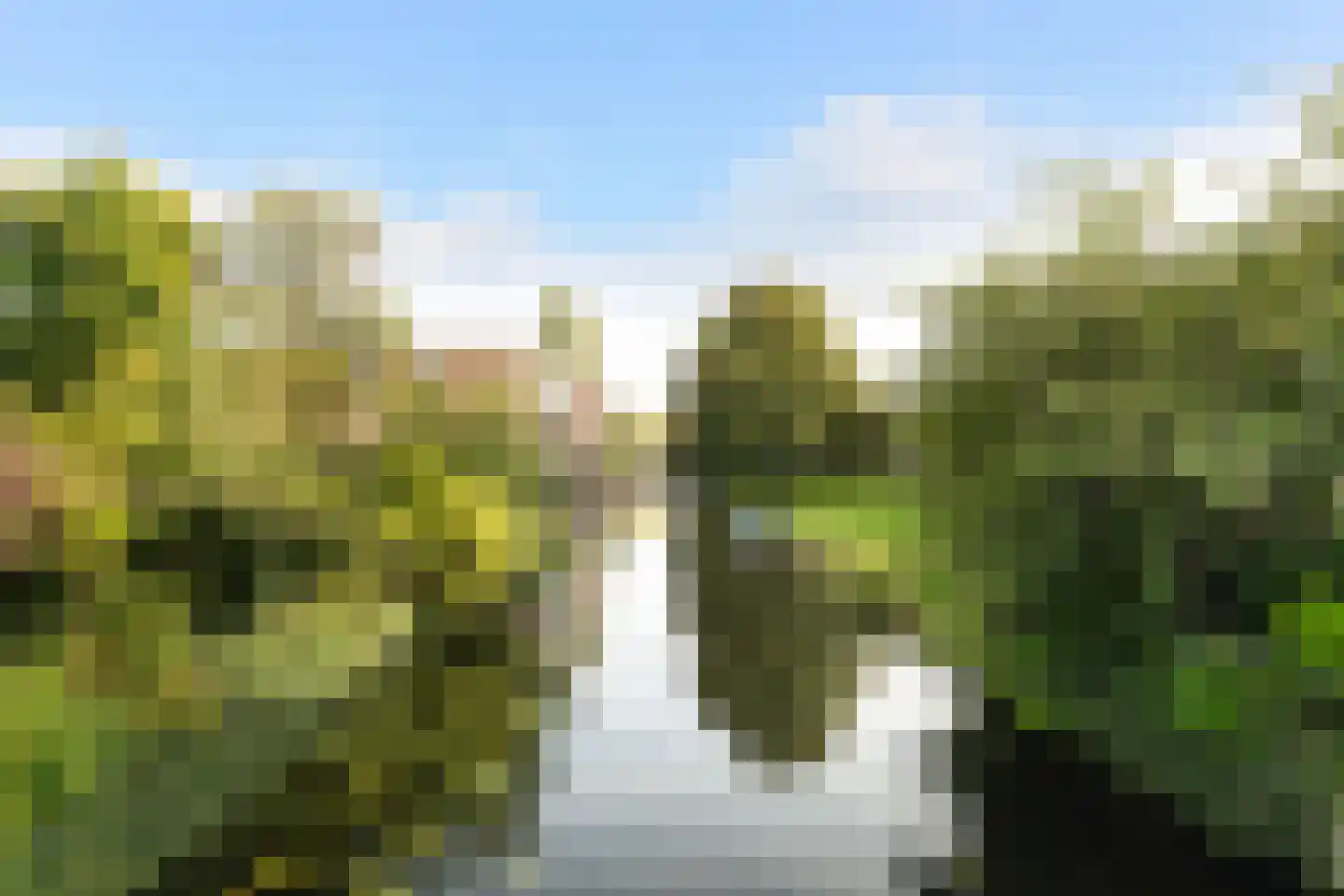 Anemoon 5 Naaldwijk thumbnail 18