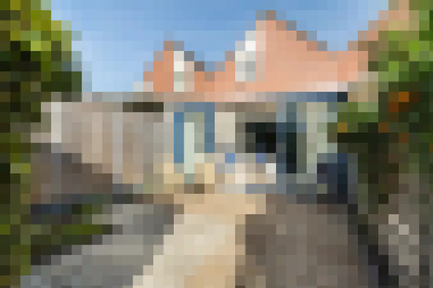 Anemoon 5 Naaldwijk thumbnail 20