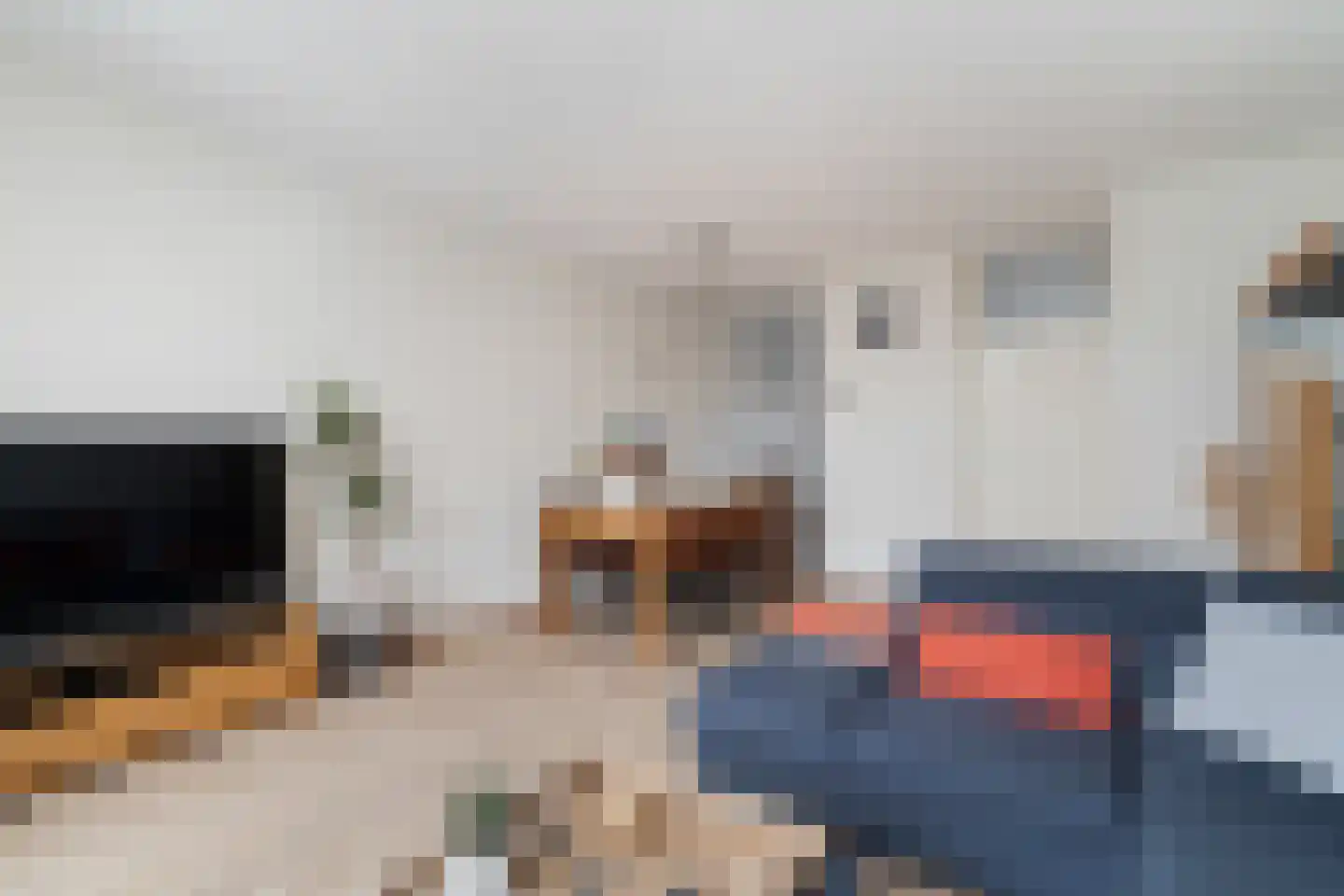 Anemoon 5 Naaldwijk thumbnail 22
