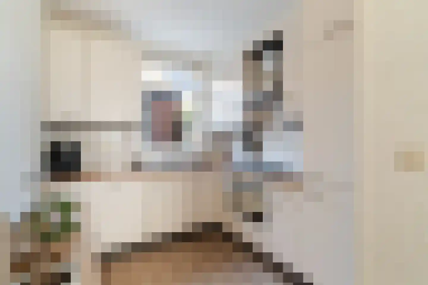 Anemoon 5 Naaldwijk thumbnail 23