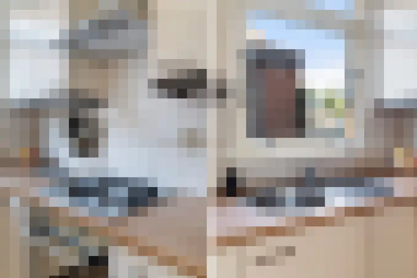 Anemoon 5 Naaldwijk thumbnail 24