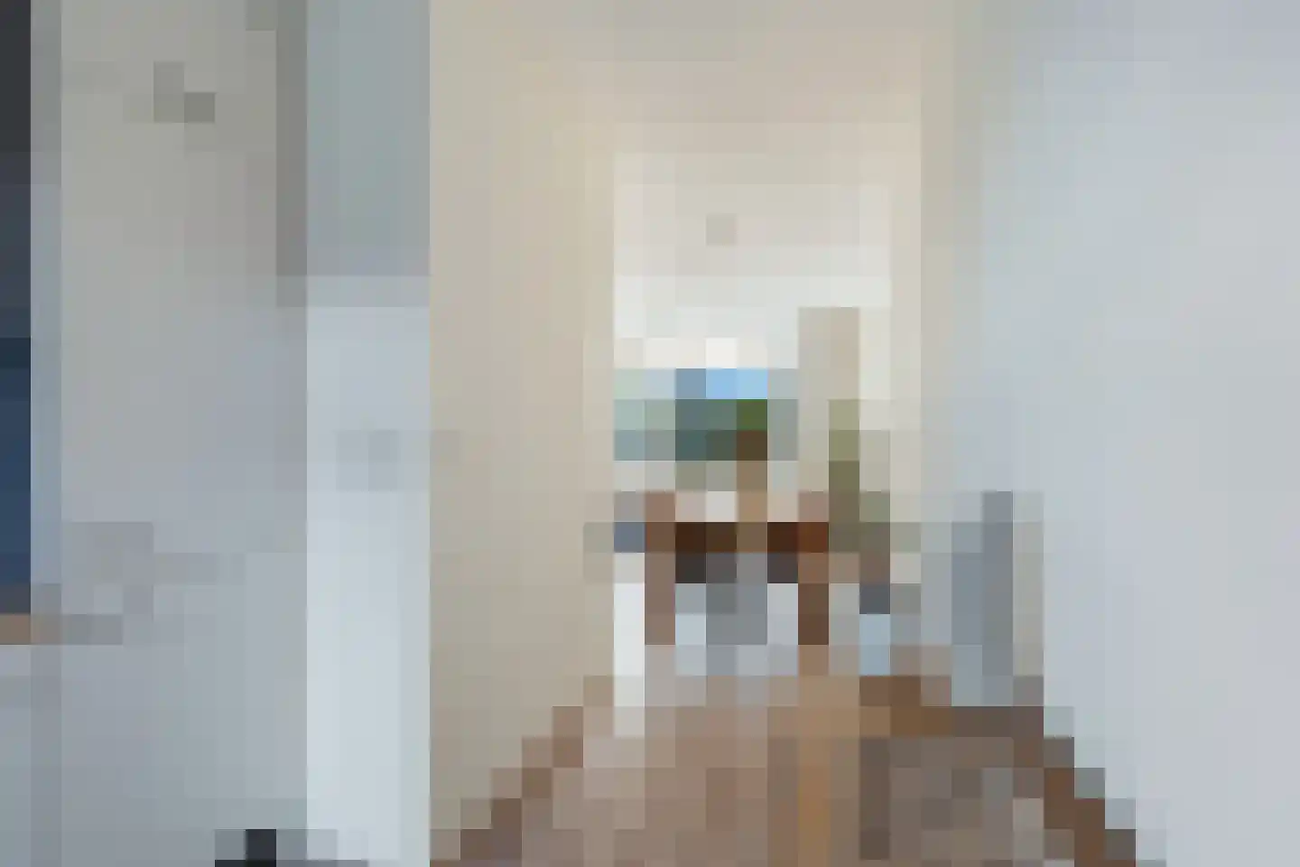 Anemoon 5 Naaldwijk thumbnail 25