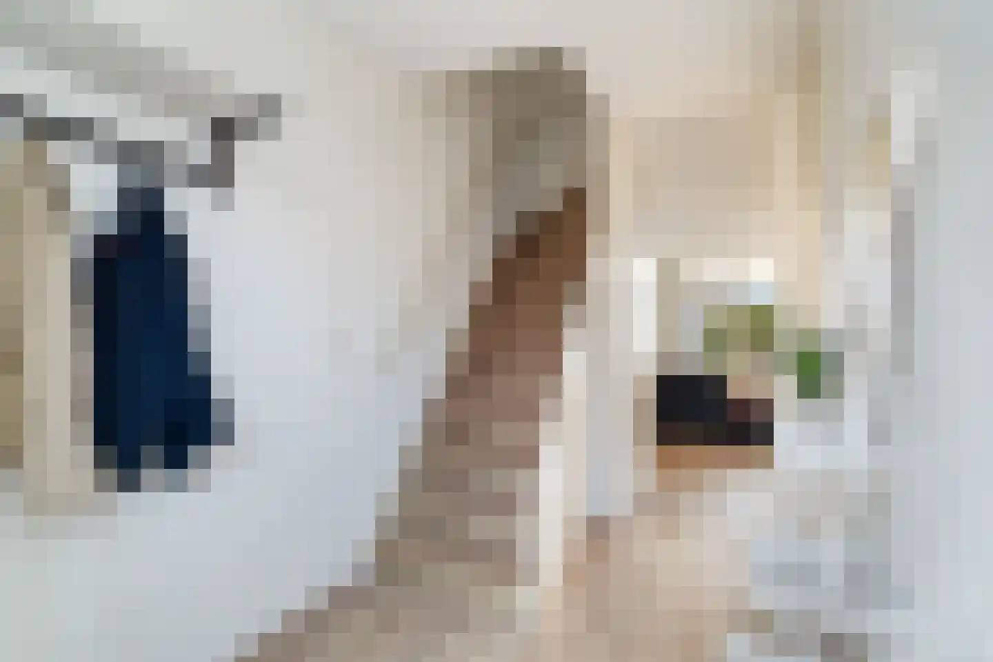 Anemoon 5 Naaldwijk thumbnail 27