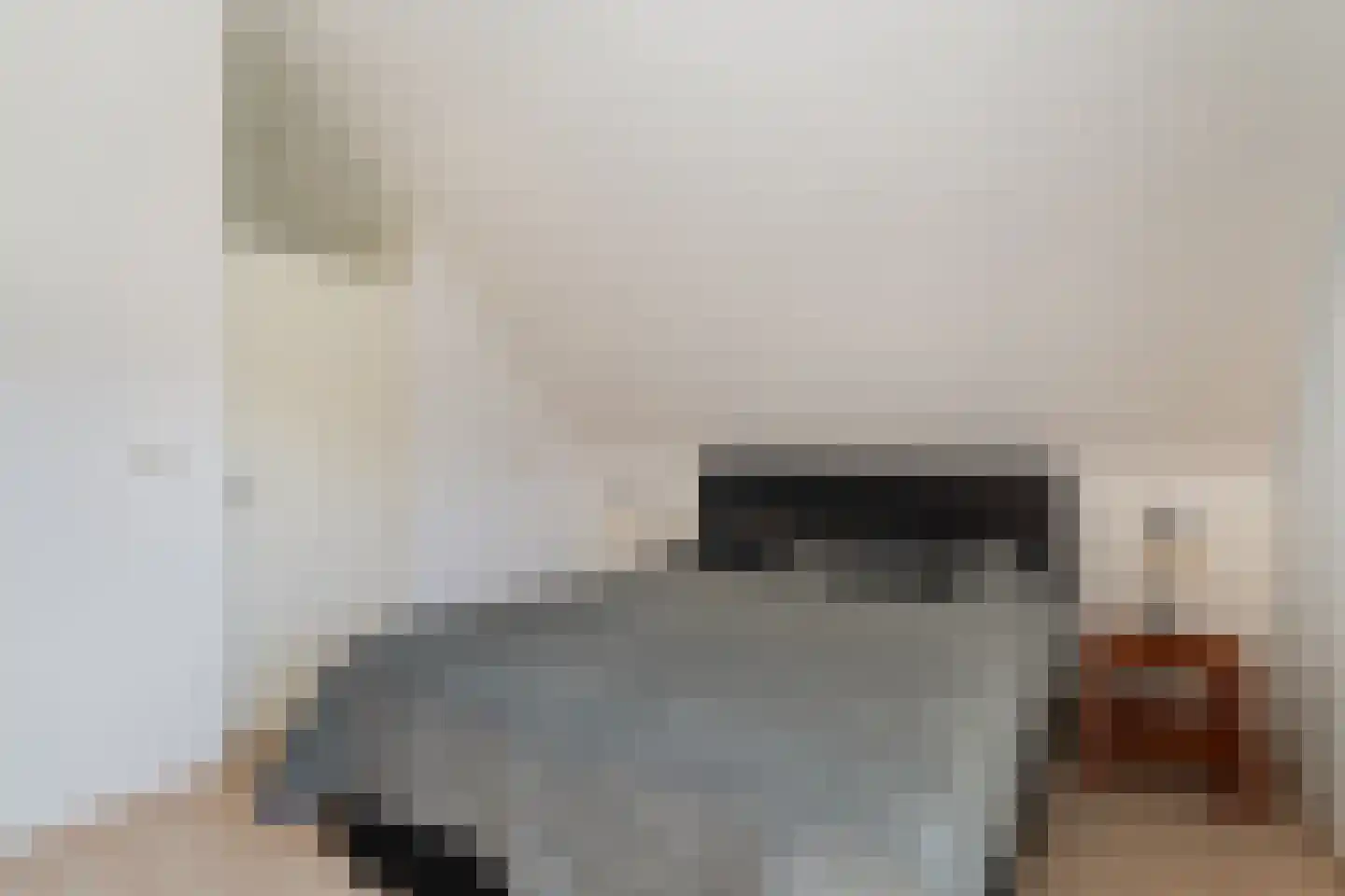 Anemoon 5 Naaldwijk thumbnail 28