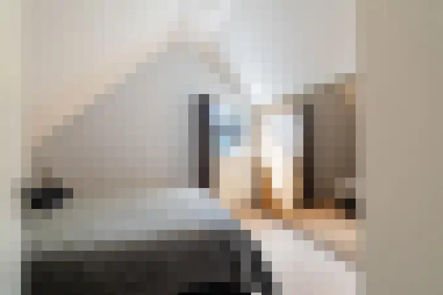 Anemoon 5 Naaldwijk thumbnail 29