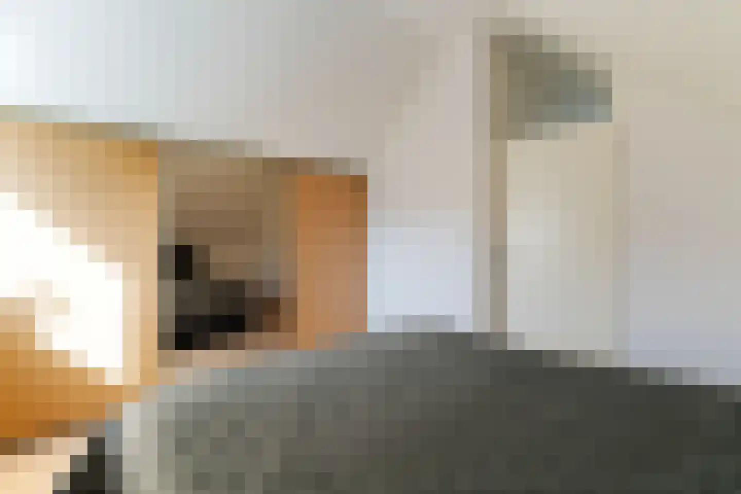 Anemoon 5 Naaldwijk thumbnail 30